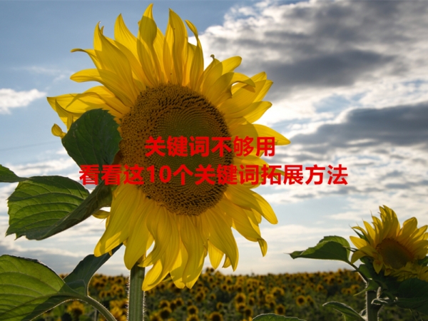 關(guān)鍵詞不夠用，看看這10個關(guān)鍵詞拓展方法！
