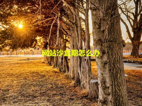 網(wǎng)站沙盒期怎么辦？