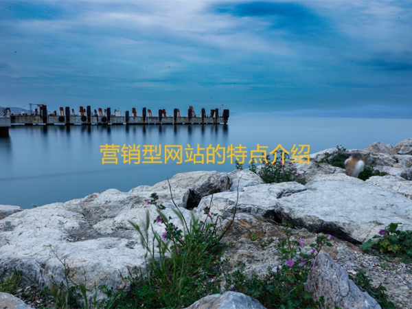 營(yíng)銷(xiāo)型網(wǎng)站的特點(diǎn)介紹